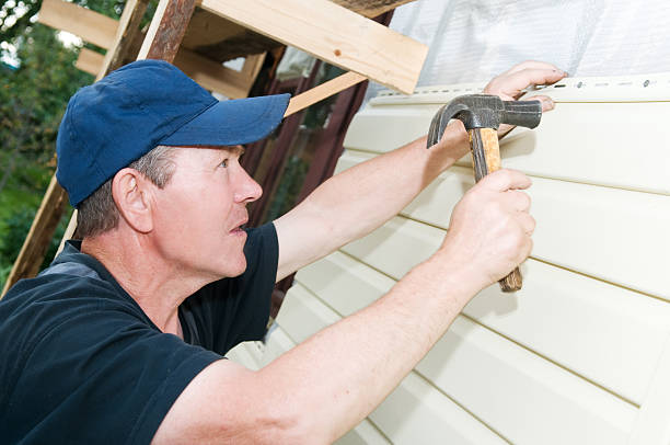 Best Vinyl Siding Installation  in Niagara, WI