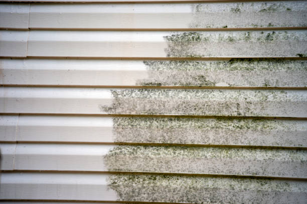 Best Siding Removal and Disposal  in Niagara, WI