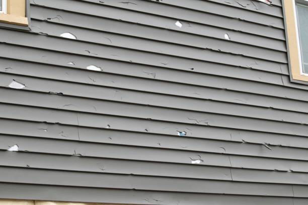 Best Wood Siding Installation  in Niagara, WI