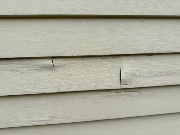 Best Aluminum Siding Installation  in Niagara, WI